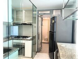 Hillview Regency (D23), Condominium #526858151